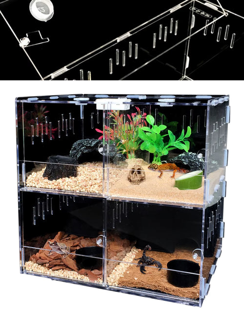 Load image into Gallery viewer, 4 Grids Acrylic Pet Lizard Crawling Box Reptile Tank Insect Spiders Lizard Breeding
