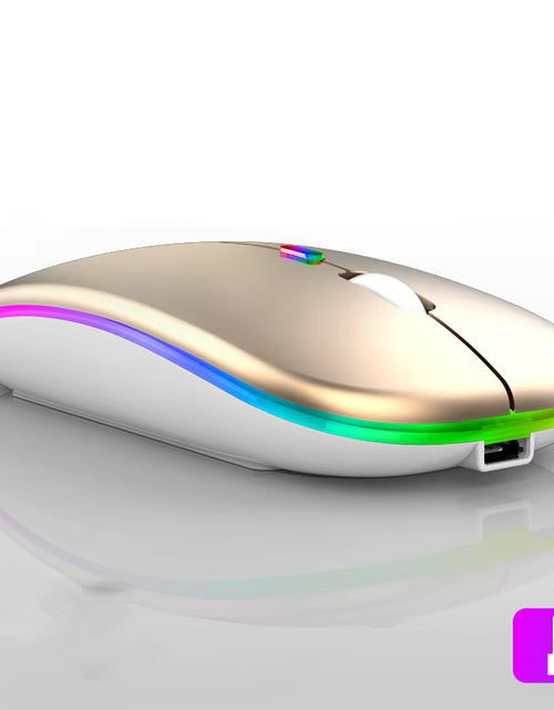 Load image into Gallery viewer, 2.4Ghz Wireless Mouse Bluetooth Mouse Mice Rechargeable Mouse Silent Mouse LED Backlit USB Gaming Mouse 1600DPI for PC Laptop
